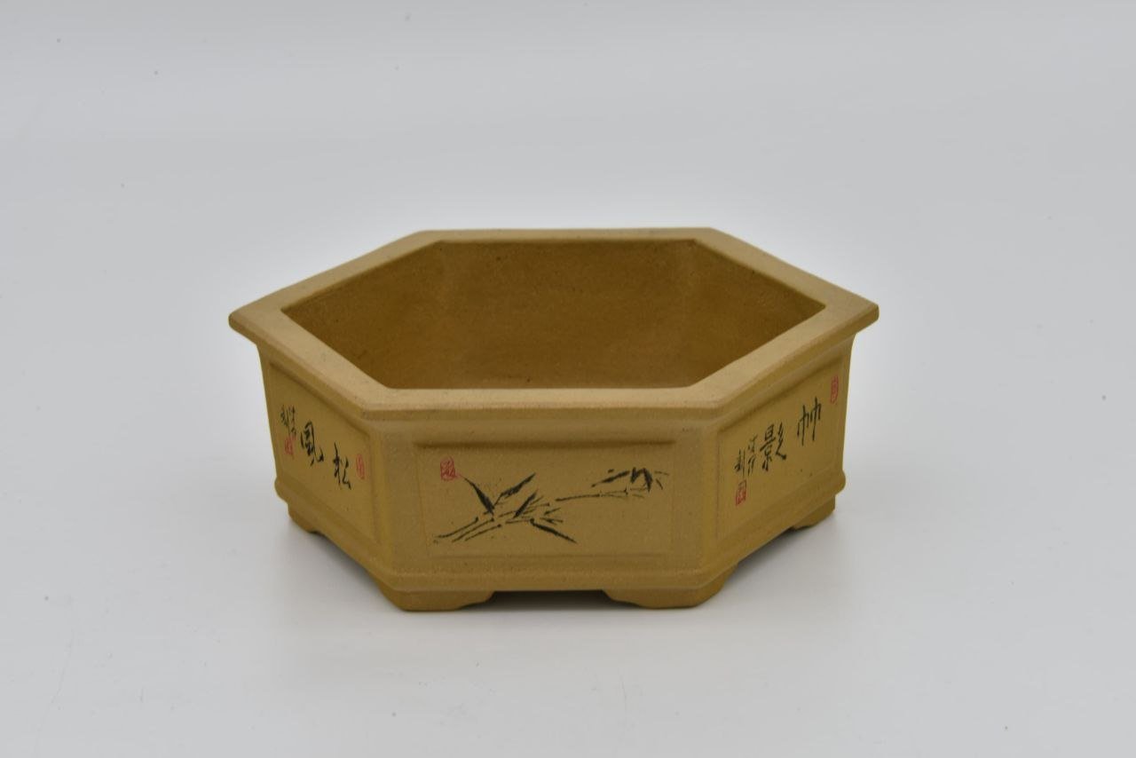 Shito Pot 171